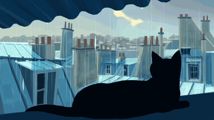 cat staring at rain